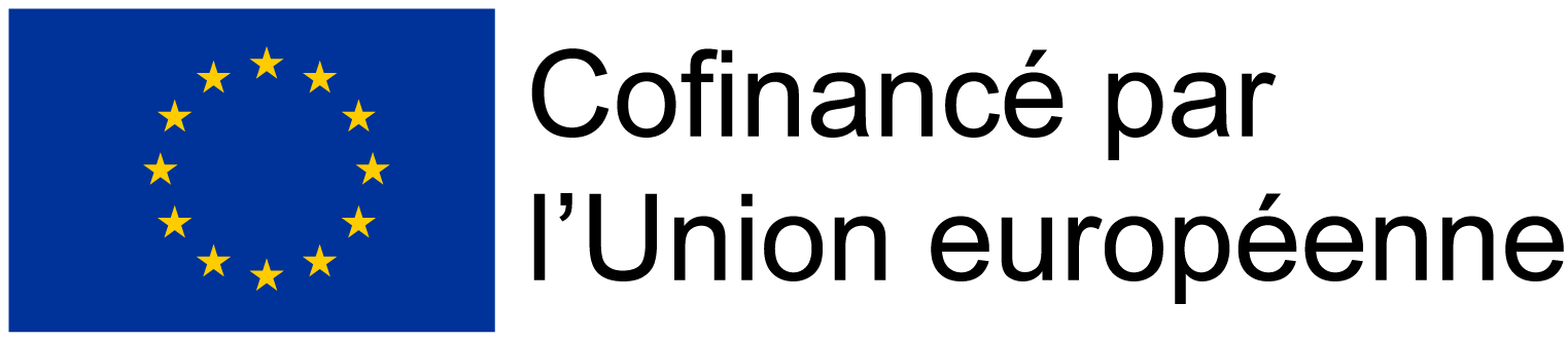 Logo emblème Union Européenne FSE
