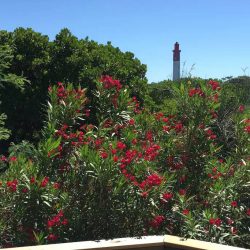 Vue sur le phare depuis la terrasse de la Villa Basque, Villa Caroline au Cap Ferret